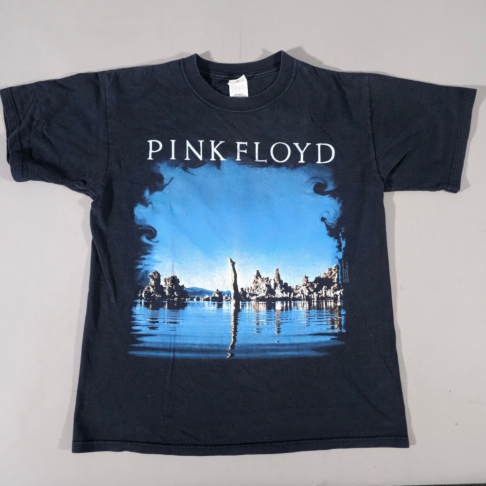 Anvil Pink Floyd T Shirt Mens Medium Black Wish You Were Here Band Tee
